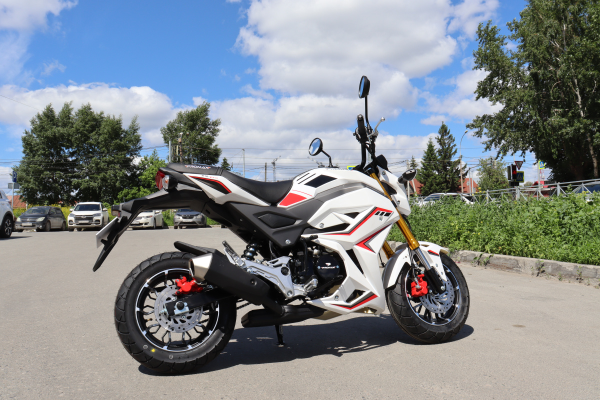 Мотоцикл PROMAX STRYKER 200(49) 2.0 в Златоусте