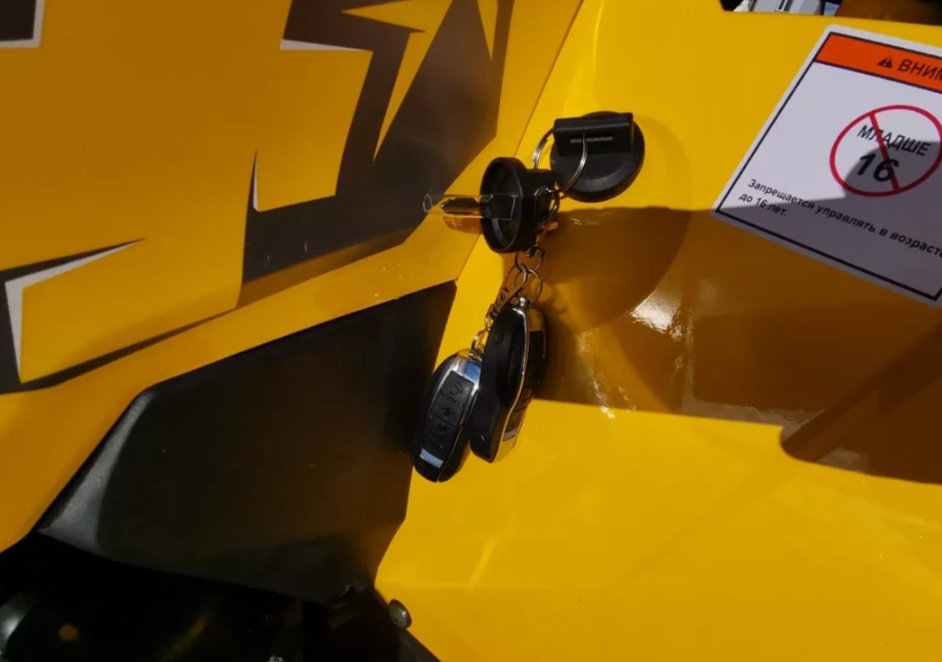 Квадроцикл MOTOLAND (МОТОЛЕНД) VOX200 WILD TRACK X PRO (баланс. вал) в Златоусте