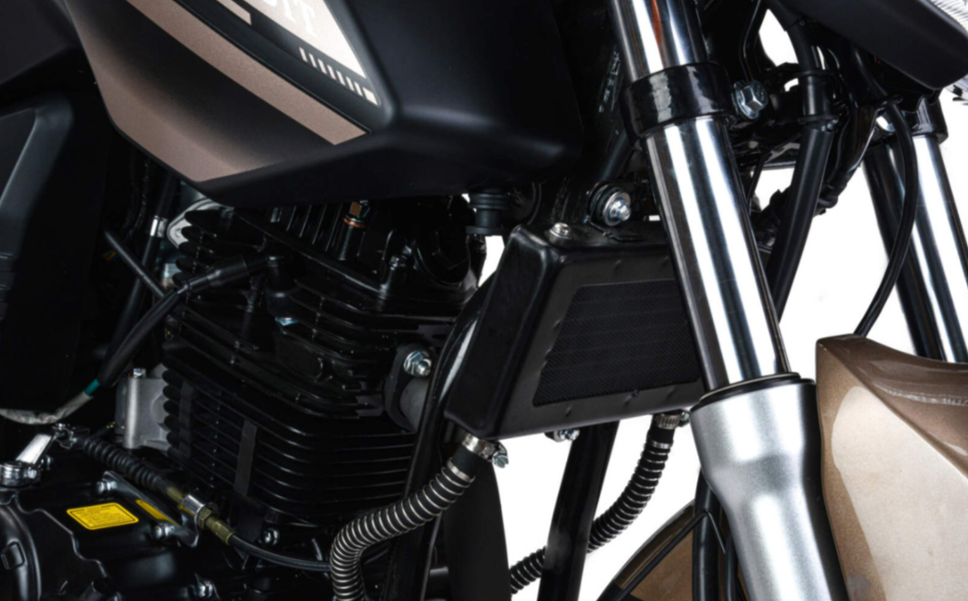 Мотоцикл MOTOLAND (МОТОЛЕНД) 300 BANDIT в Златоусте