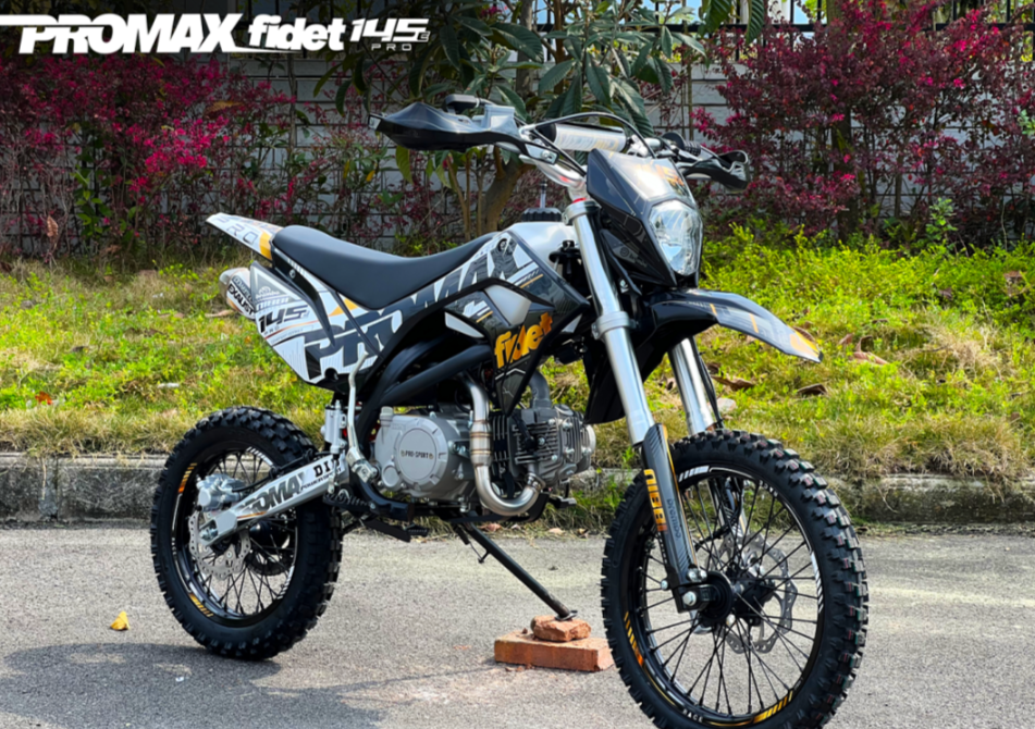 Мотоцикл (питбайк) PROMAX FIDET (ФАЙДЕТ) 145E PRO 17/14 в Златоусте