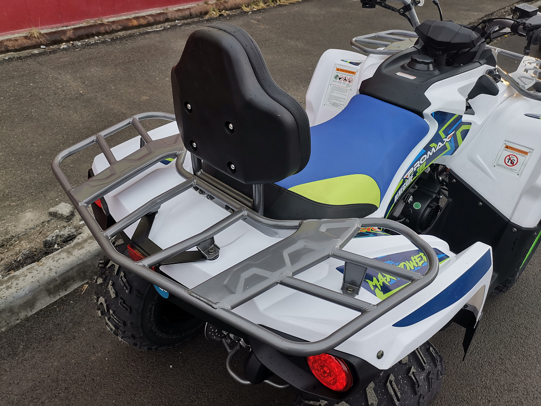 Квадроцикл PROMAX RENEGADE 280 LUX (2025) в Златоусте