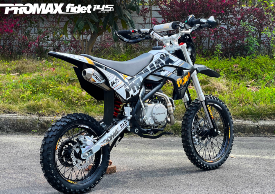 Мотоцикл (питбайк) PROMAX FIDET (ФАЙДЕТ) 145E PRO 17/14 в Златоусте