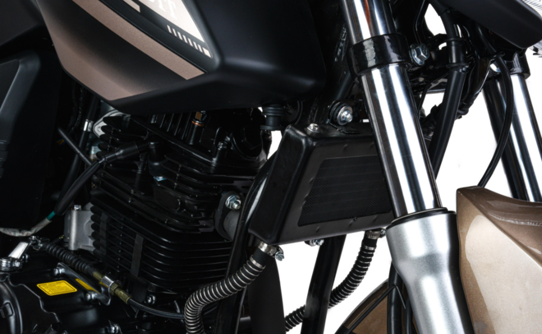 Мотоцикл MOTOLAND (МОТОЛЕНД) 300 BANDIT в Златоусте