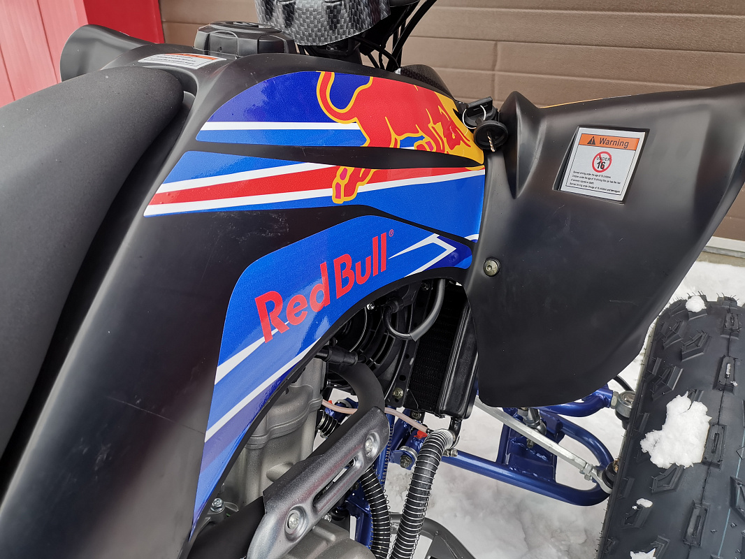 Квадроцикл PROMAX RAPTOR 300 NEW RedBull в Златоусте