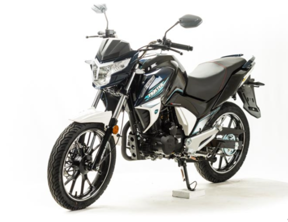 Мотоцикл MOTOLAND (МОТОЛЕНД) FIGHTER 250 в Златоусте