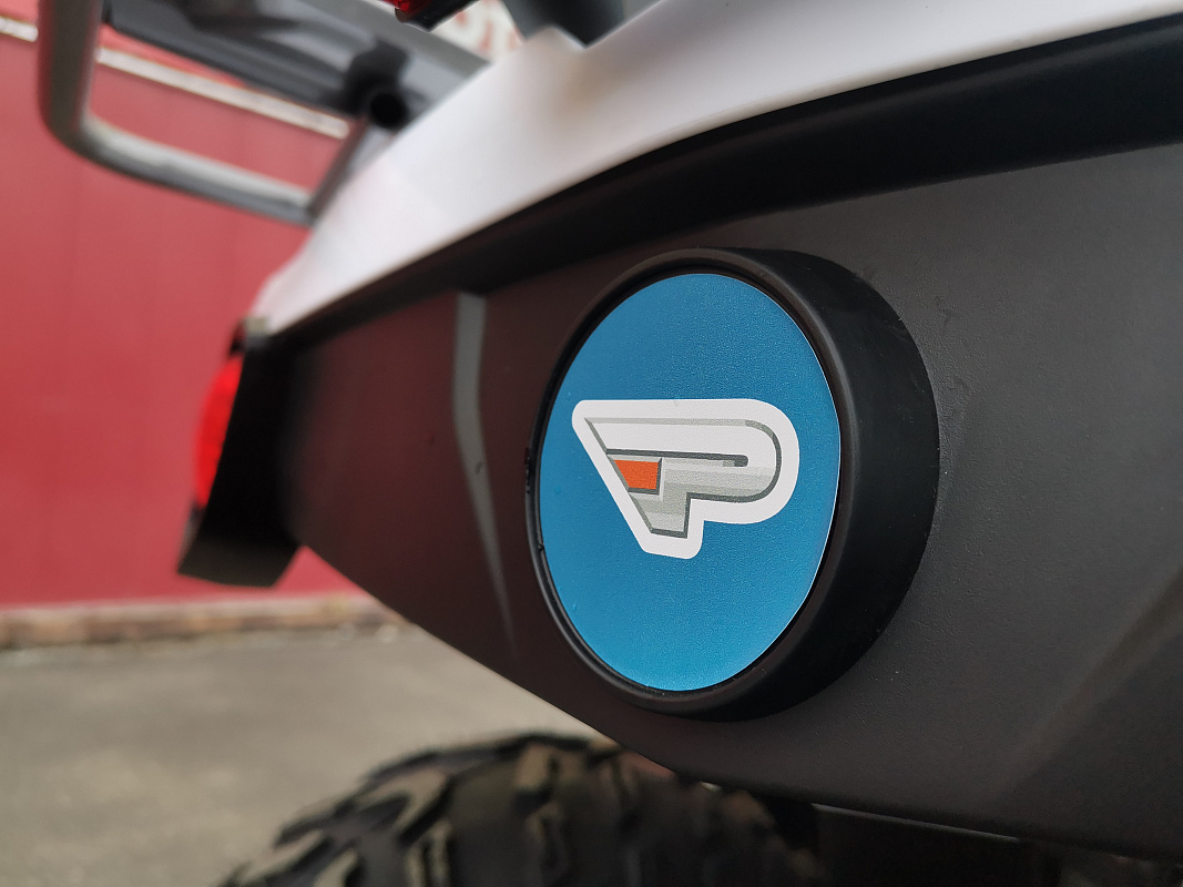 Квадроцикл PROMAX RENEGADE 280 LUX (2025) в Златоусте