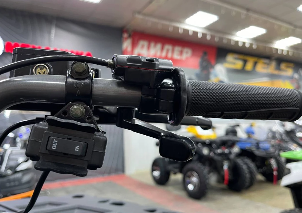 Квадроцикл PROMAX RENEGADE 300 LONG WINCH PRO (2025) в Златоусте