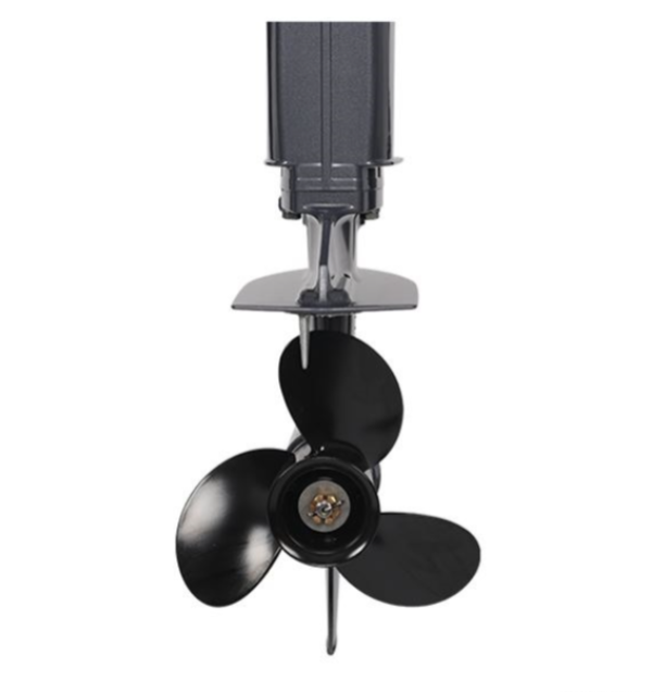 Лодочный мотор ALLFA CG Т40FW S в Златоусте