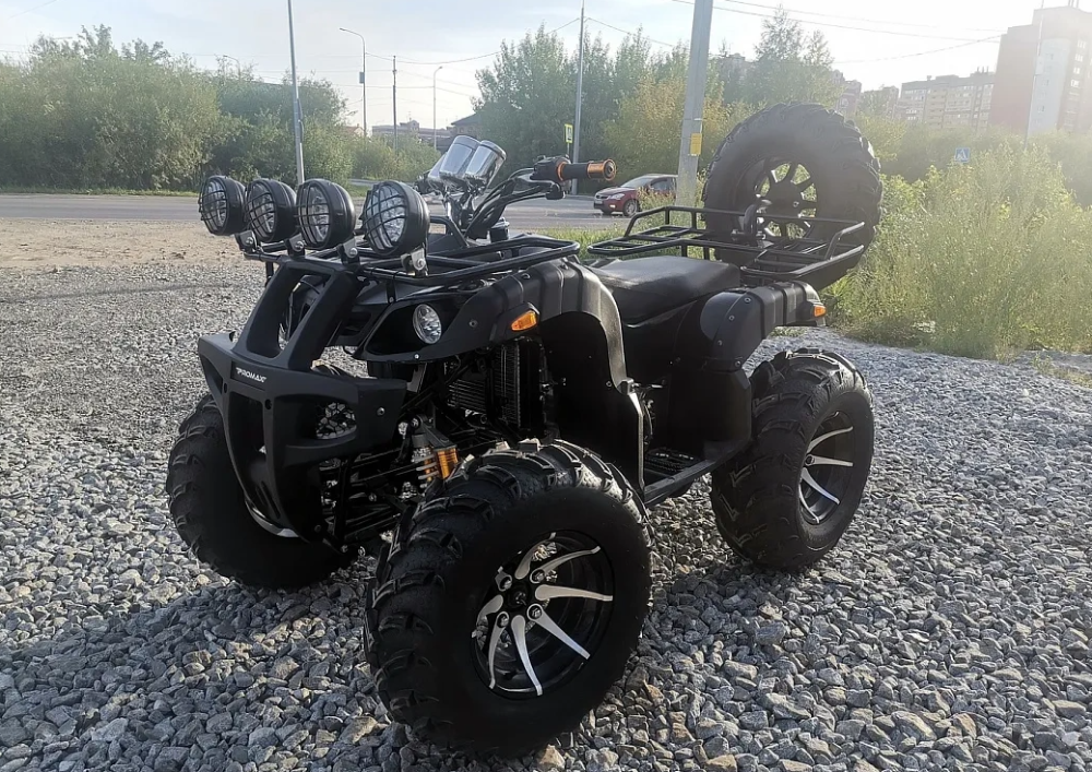 Квадроцикл PROMAX LEO 300 Max (кардан) в Златоусте