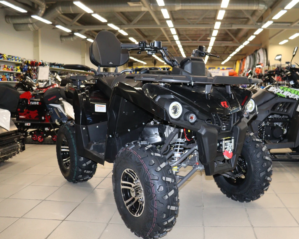 Квадроцикл PROMAX RENEGADE 300 LONG WINCH PRO (2025) в Златоусте