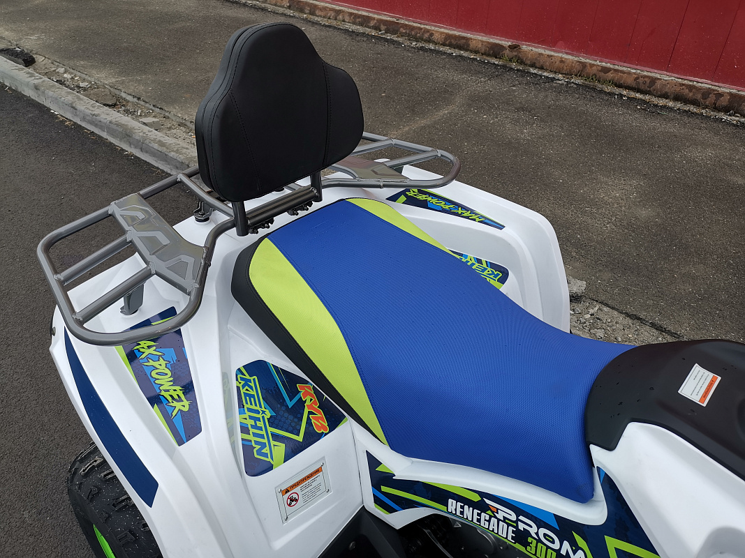 Квадроцикл PROMAX RENEGADE 280 LUX (2025) в Златоусте