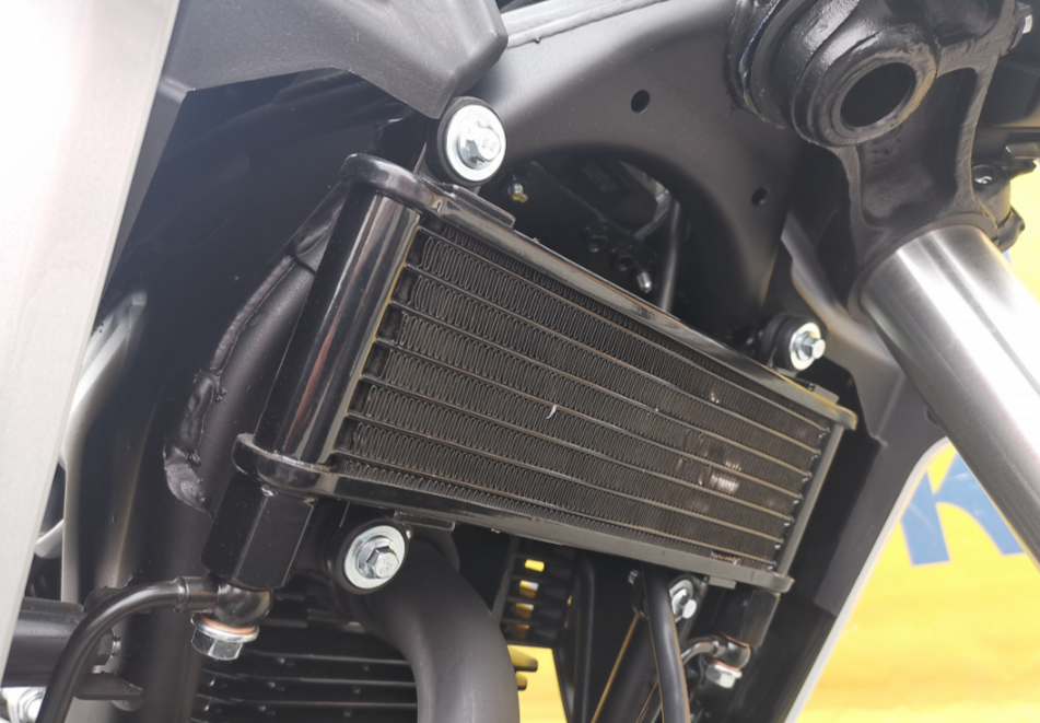 Мотоцикл MOTOLAND (МОТОЛЕНД) 250 CB250 (172FMM-5/PR250) (2022 г.) в Златоусте