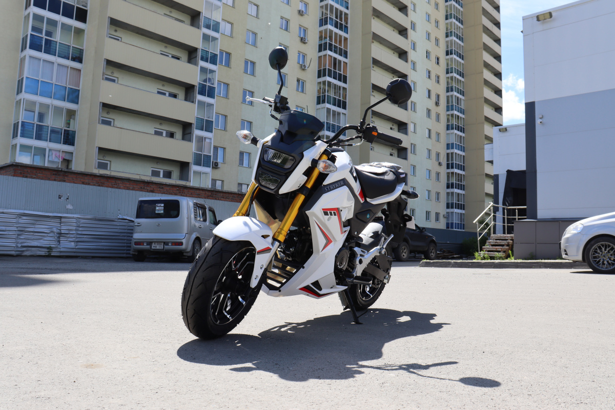 Мотоцикл PROMAX STRYKER 200(49) 2.0 в Златоусте