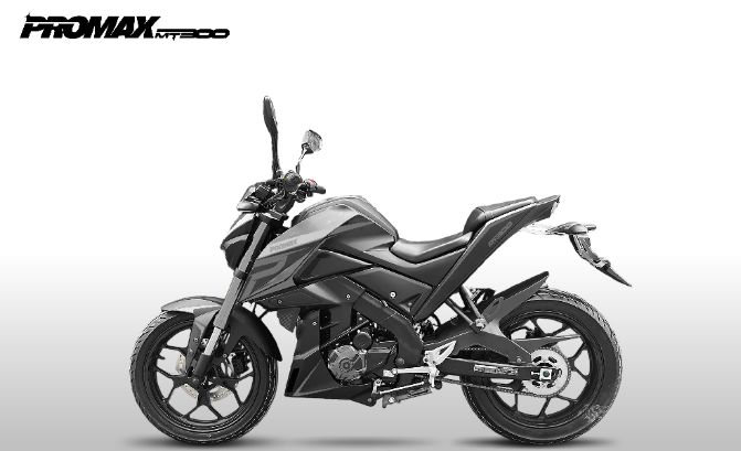 Мотоцикл PROMAX MT300 в Златоусте