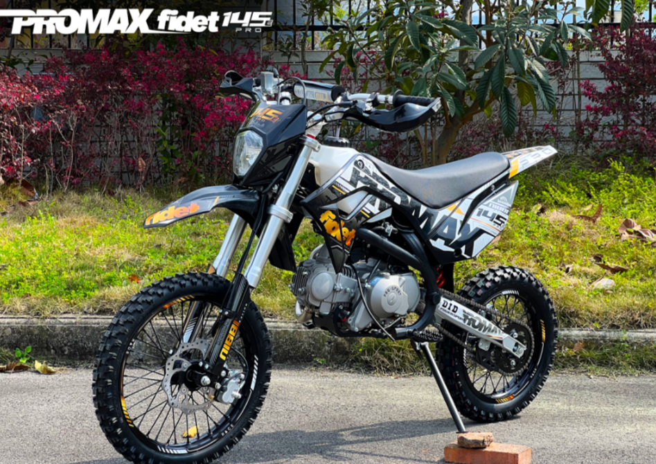 Мотоцикл (питбайк) PROMAX FIDET (ФАЙДЕТ) 145E PRO 17/14 в Златоусте