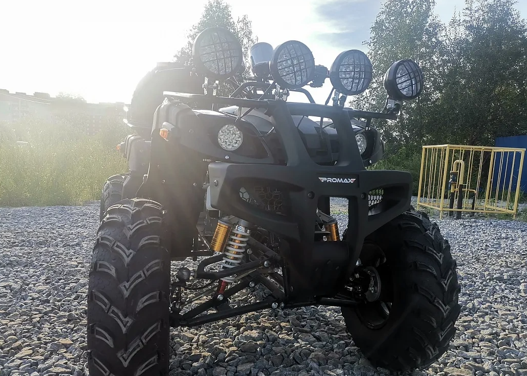 Квадроцикл PROMAX LEO 300 Max (кардан) в Златоусте