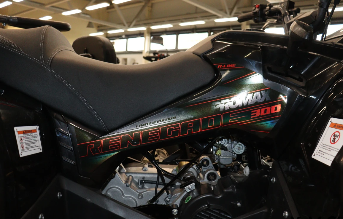 Квадроцикл PROMAX RENEGADE 300 LONG WINCH PRO (2025) в Златоусте