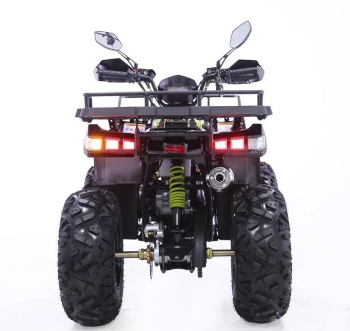 Квадроцикл YACOTA WARRIOR 200 PRO в Златоусте