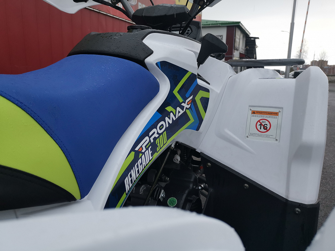 Квадроцикл PROMAX RENEGADE 280 LUX (2025) в Златоусте