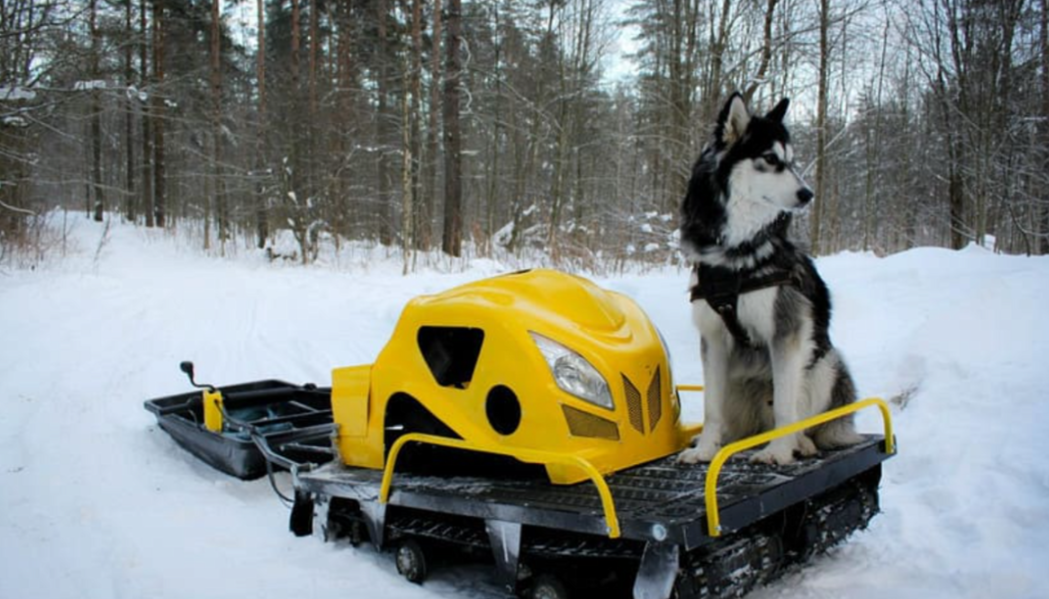 Мотобуксировщик LEBEDEV MOTORS ВОЛКОДАВ POWER V13 в Златоусте