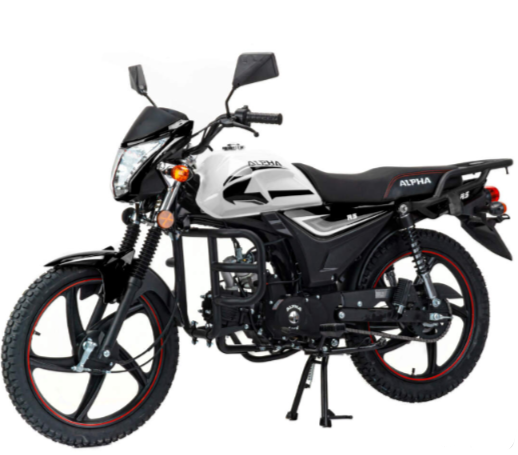 Мопед MOTOLAND (МОТОЛЕНД) Альфа RS 11 (LM48-B) в Златоусте
