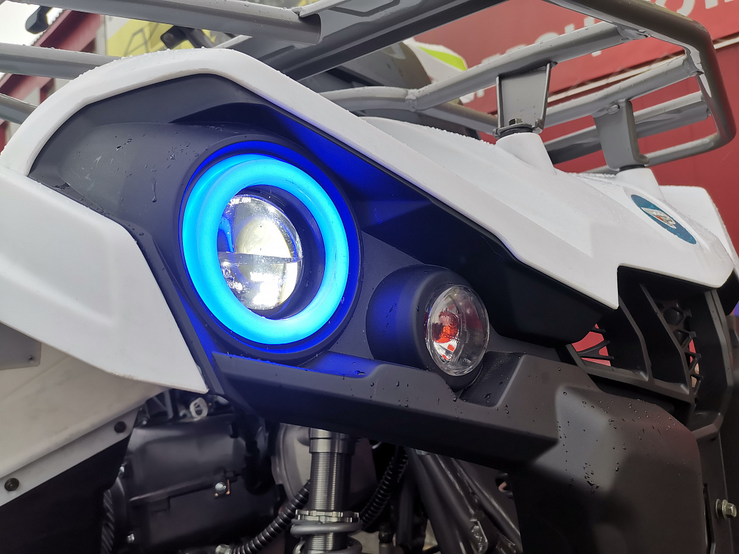 Квадроцикл PROMAX RENEGADE 280 LUX (2025) в Златоусте