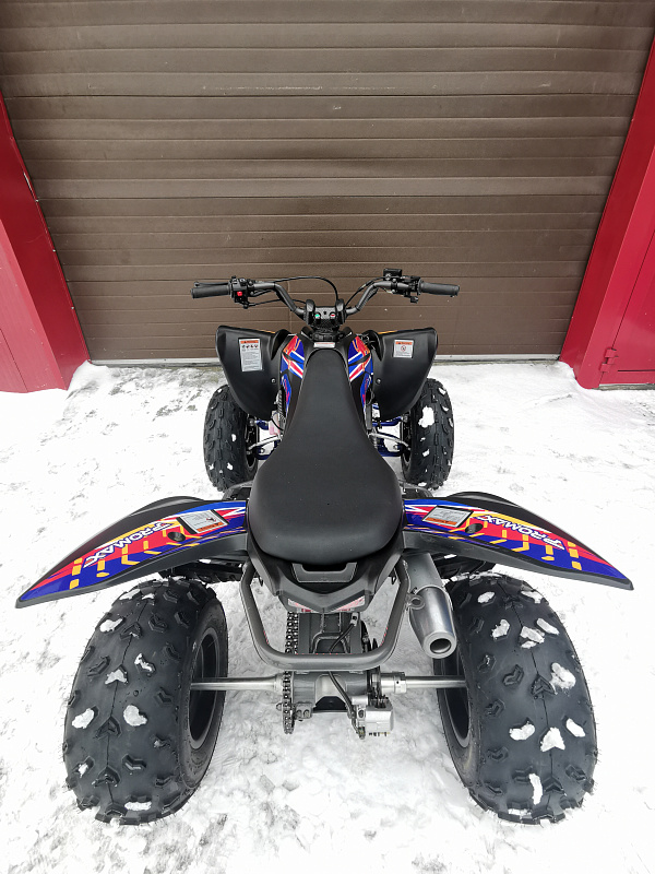 Квадроцикл PROMAX RAPTOR 300 NEW RedBull в Златоусте