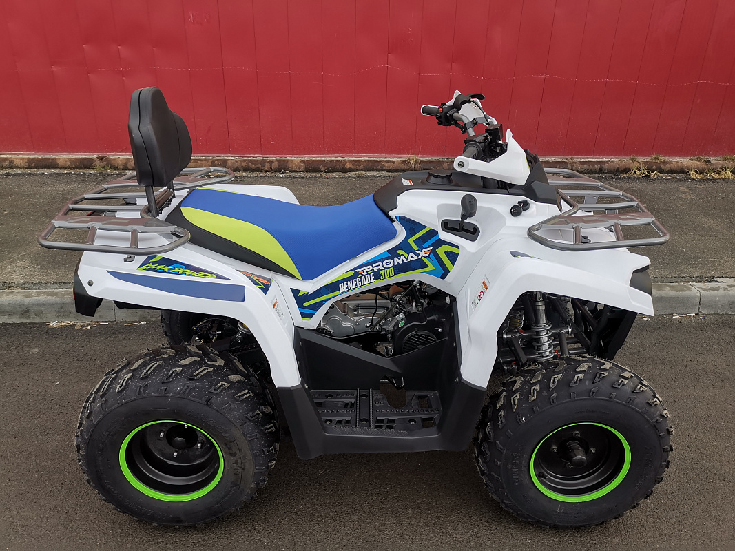 Квадроцикл PROMAX RENEGADE 280 LUX (2025) в Златоусте