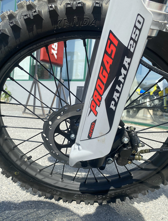 Мотоцикл Progasi PALMA 300 NEW (CB300F) в Златоусте