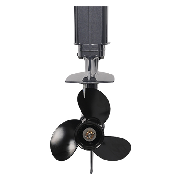 Лодочный мотор ALLFA CG T9.9(20) MAX Limit в Златоусте