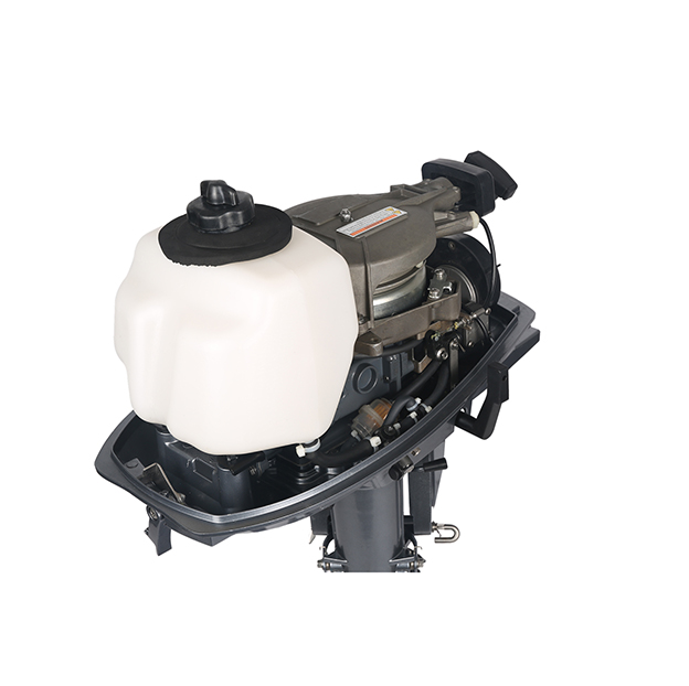 ЛОДОЧНЫЙ МОТОР ALLFA CG T5 в Златоусте