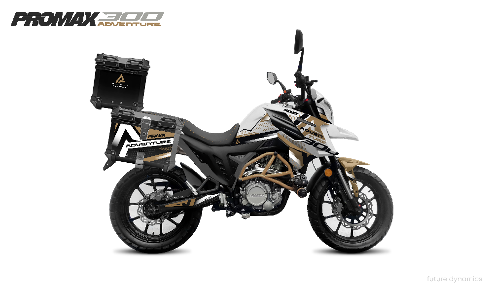 Мотоцикл PROMAX ADVENTURE 300 PRO EFI (NB300) в Златоусте