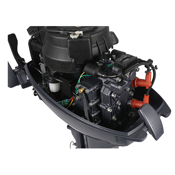 ЛОДОЧНЫЙ МОТОР ALLFA CG Т9,9 в Златоусте