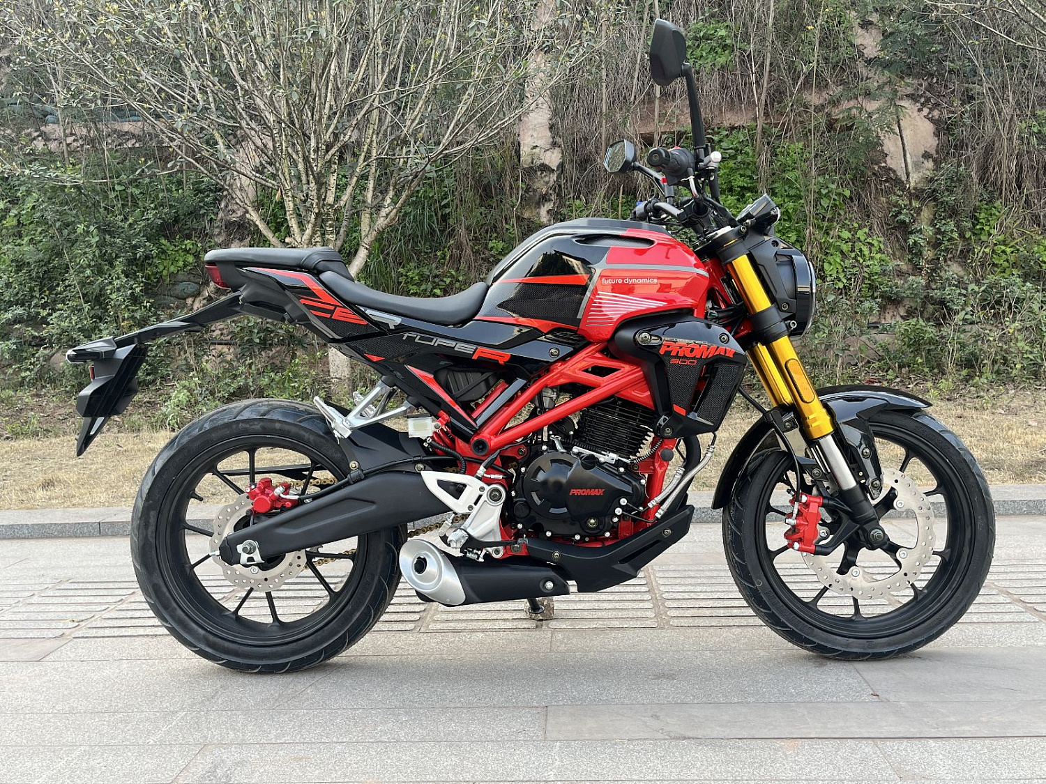 Мотоцикл PROMAX CB300 в Златоусте