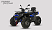 Квадроцикл PROMAX TAURUS 300 MAX-PRO LONG в Златоусте
