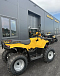 КВАДРОЦИКЛ IRBIS ATV 250  в Златоусте