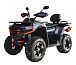 Квадроцикл MOTOLAND (МОТОЛЕНД) 300 MAX X в Златоусте