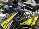 Квадроцикл PROMAX TAURUS 300 MAX-PRO в Златоусте