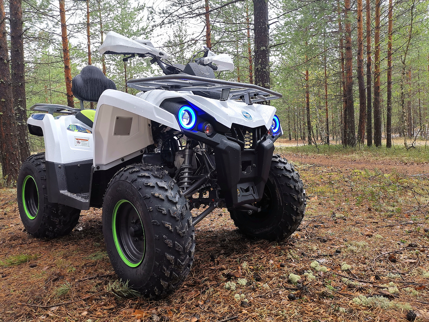 Квадроцикл PROMAX RENEGADE 280 (2025) в Златоусте