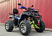  Квадроцикл PROMAX ATV 250 MAX (2025) в Златоусте