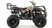 Квадроцикл MOTOLAND (МОТОЛЕНД) 200 ALL ROAD в Златоусте