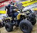 Квадроцикл PROMAX ATV 250 (2025) в Златоусте