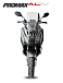 МаксиСкутер PROMAX-HONDA ADV 150 (49) (Inspired by HONDA) в Златоусте