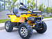 Квадроцикл MOTOLAND (МОТОЛЕНД) VOX200 WILD TRACK X PRO (баланс. вал) в Златоусте