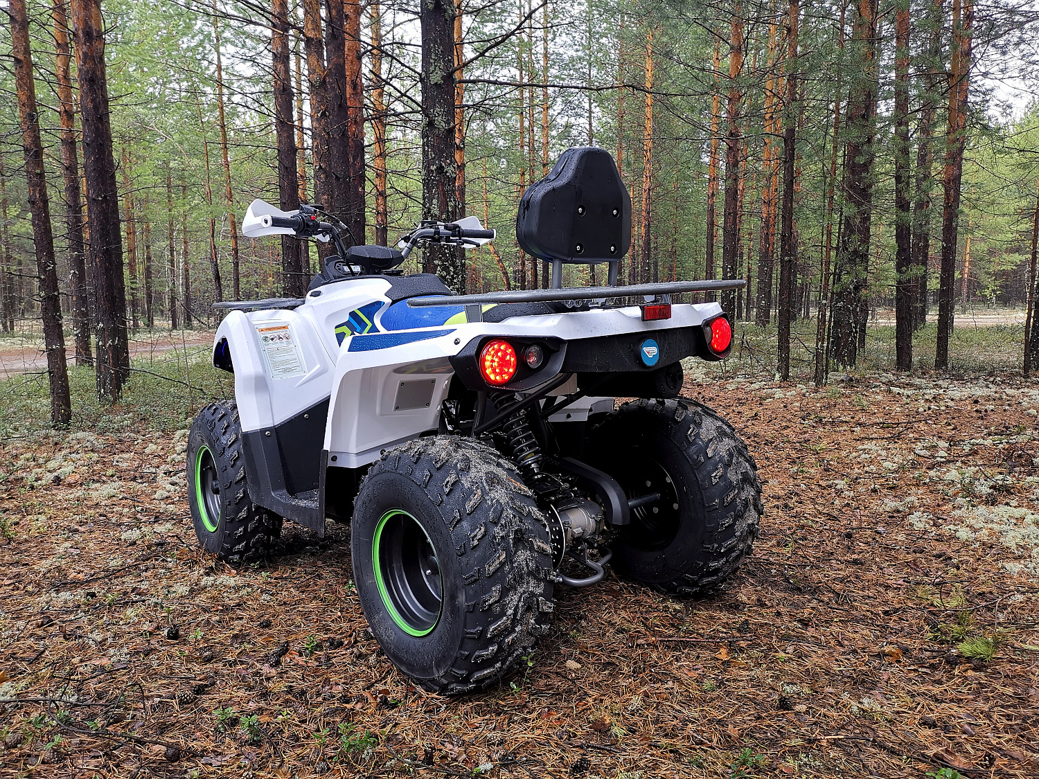 Квадроцикл PROMAX RENEGADE 280 (2025) в Златоусте