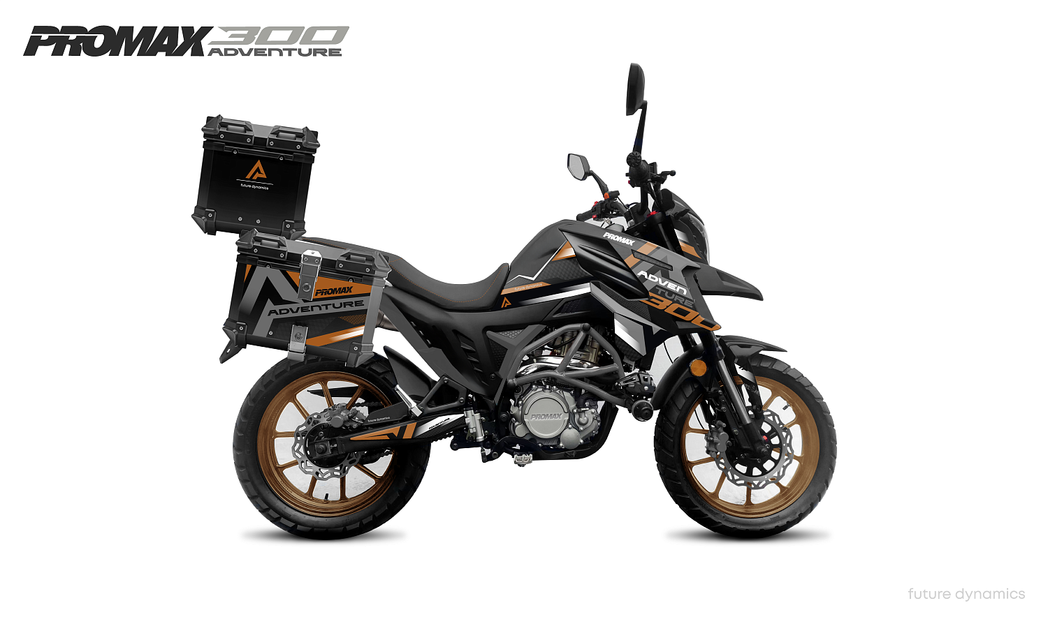 Мотоцикл PROMAX ADVENTURE 300 PRO EFI (NB300) в Златоусте