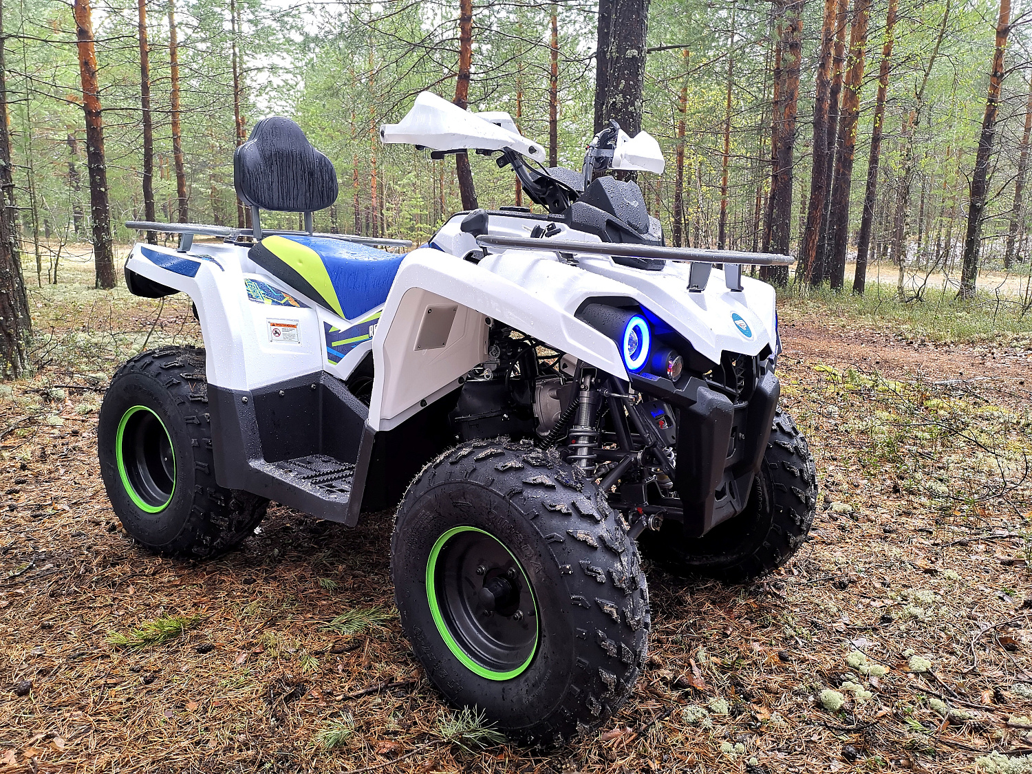 Квадроцикл PROMAX RENEGADE 280 (2025) в Златоусте