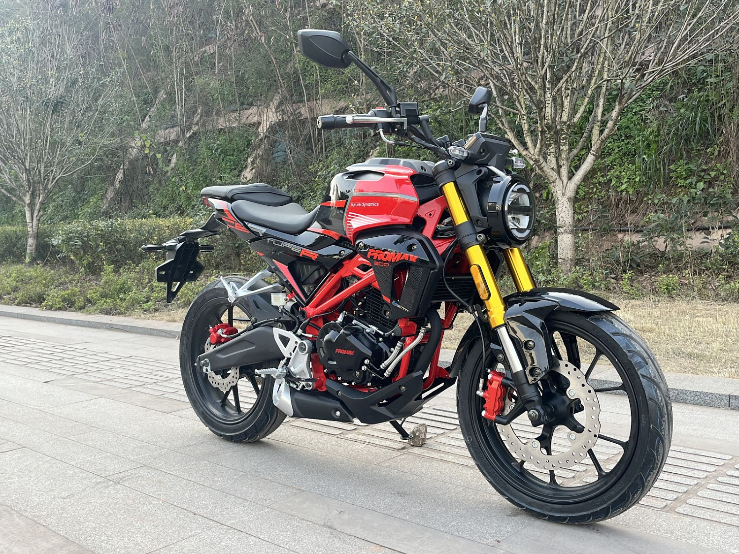 Мотоцикл PROMAX CB300 в Златоусте