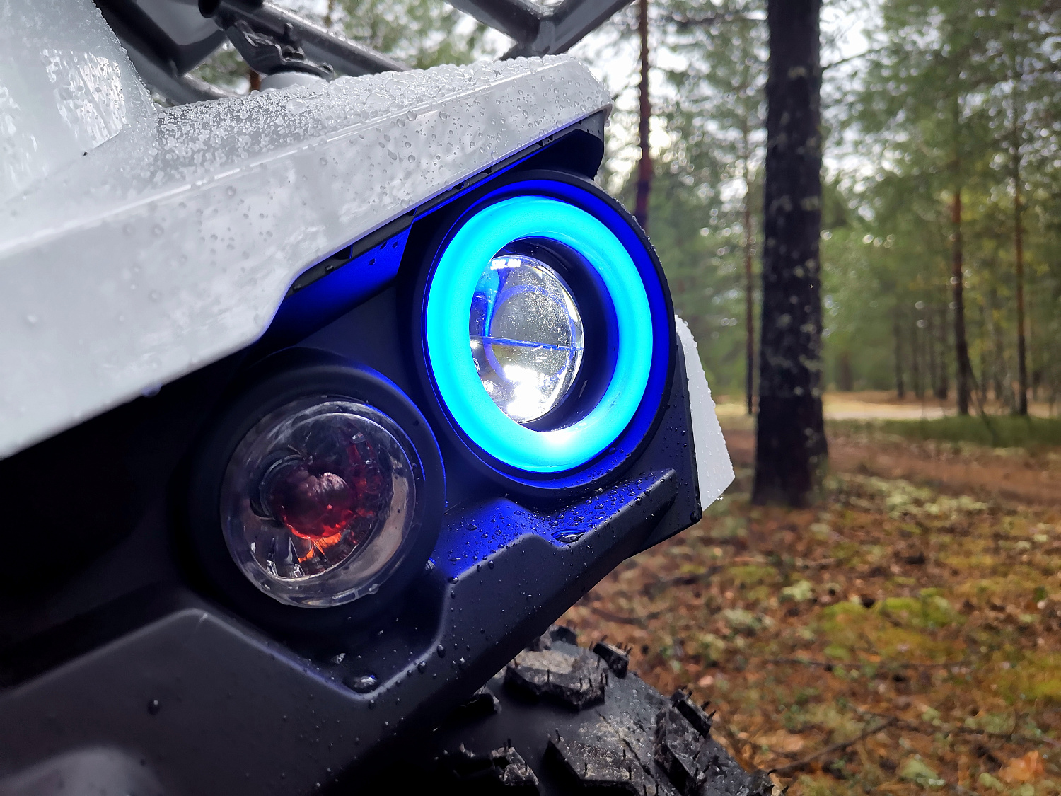 Квадроцикл PROMAX RENEGADE 280 (2025) в Златоусте