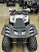 Квадроцикл PROMAX WILD 2.0 190 в Златоусте